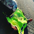 Freaky Drive - Die Fahrschule