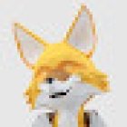 Permis Malin Paris 12