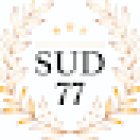 Driving School Sud 77