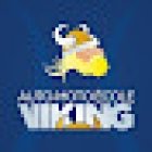 Viking Auto-Moto-École