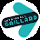 Driving School Gaillard Romans