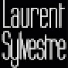 Driving School Laurent Sylvestre