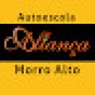 Auto School Alliance - Morro Alto