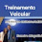 DETERMINAÇÃO PRÁTICA VEICULAR