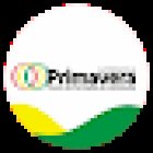 Auto Escola Primavera | Araraquara-SP